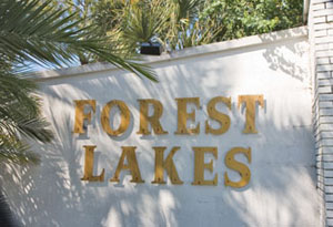 Forest Lakes