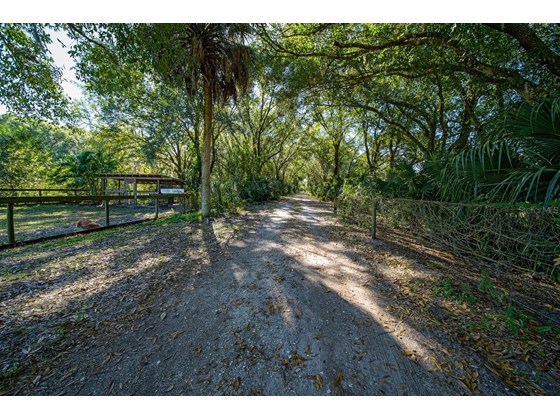 Driveway from House (Dog Run/Aviary on left) - Single Family Home for sale at 16411 Waterline Rd, Bradenton, FL 34212 - MLS Number is A4519463